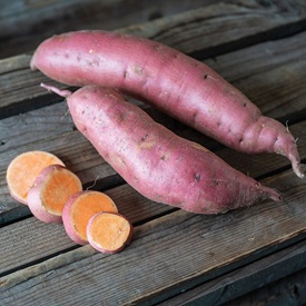 Beauregard Organic Sweet Potato Slips